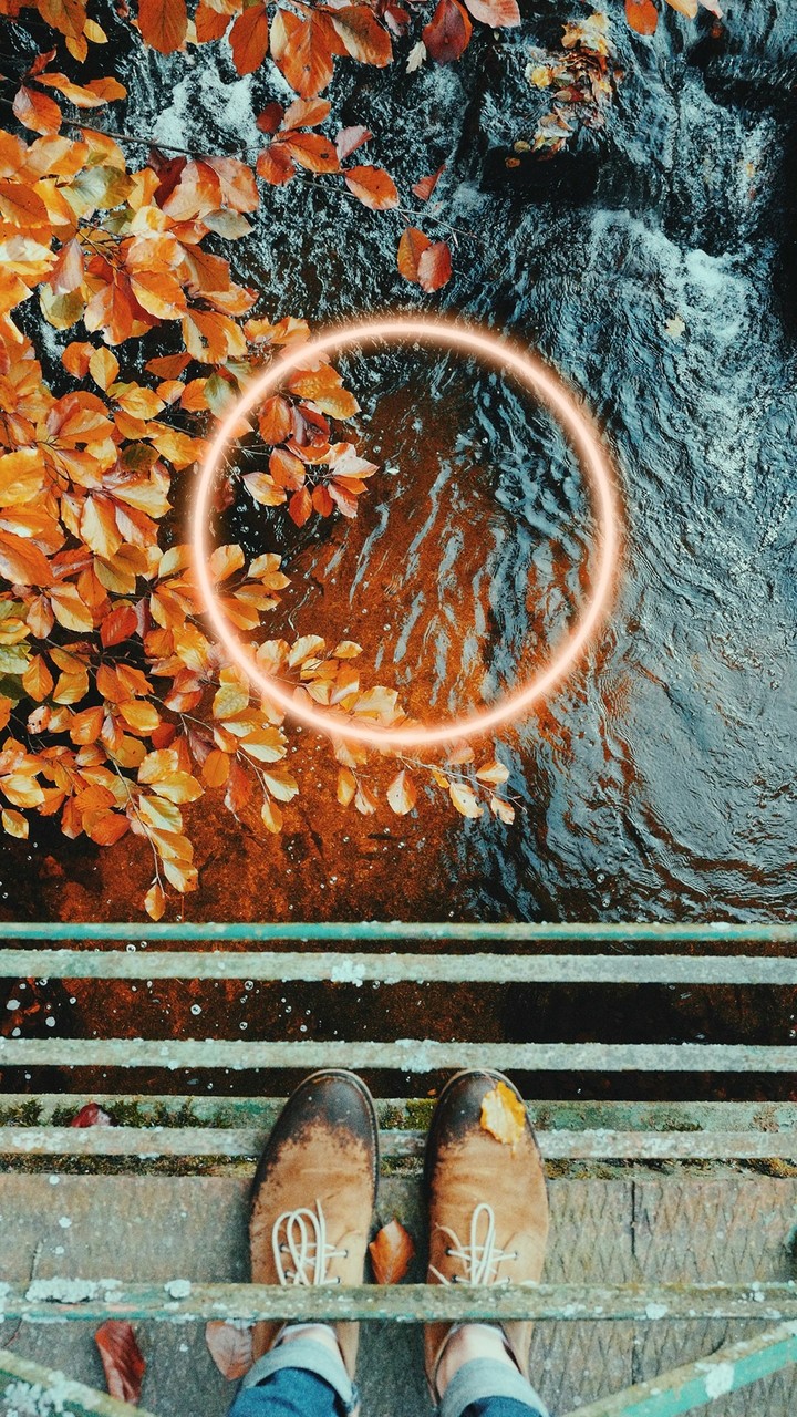 fall