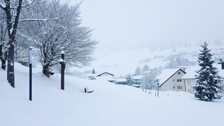 Winter Todtnauberg