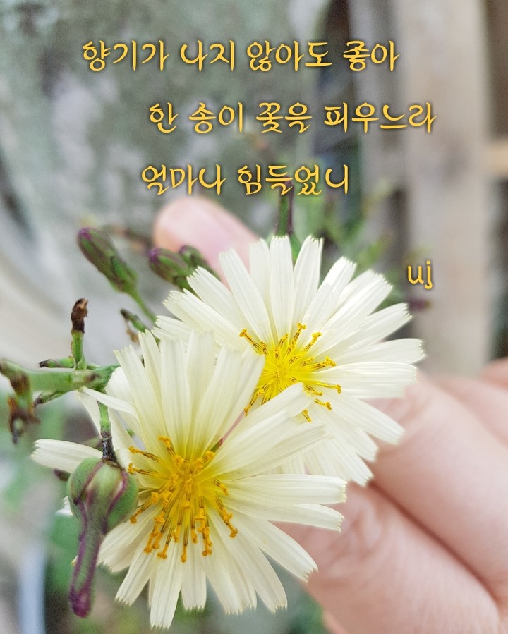 위로