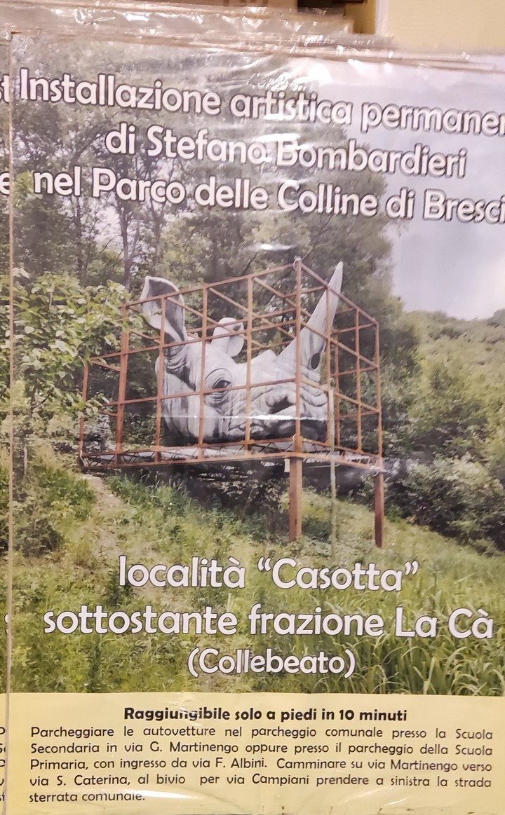 RINOCERONTE di Stefano BOMBARDIERI ?