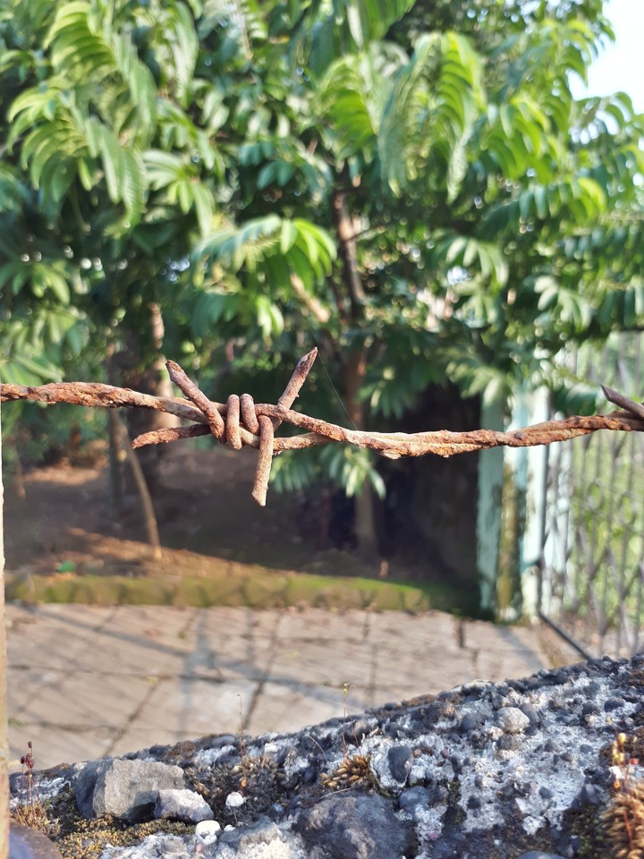 corroded wire