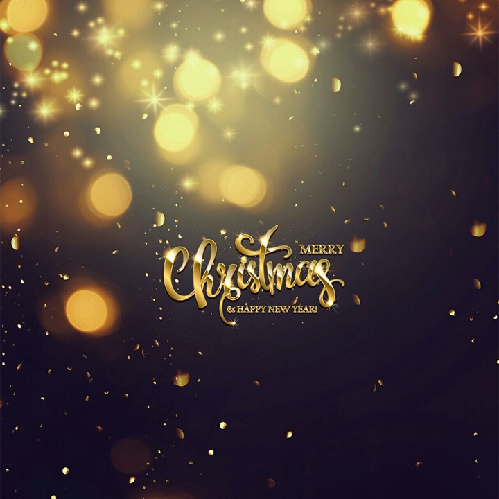 Merry Christmas and Happy New Year