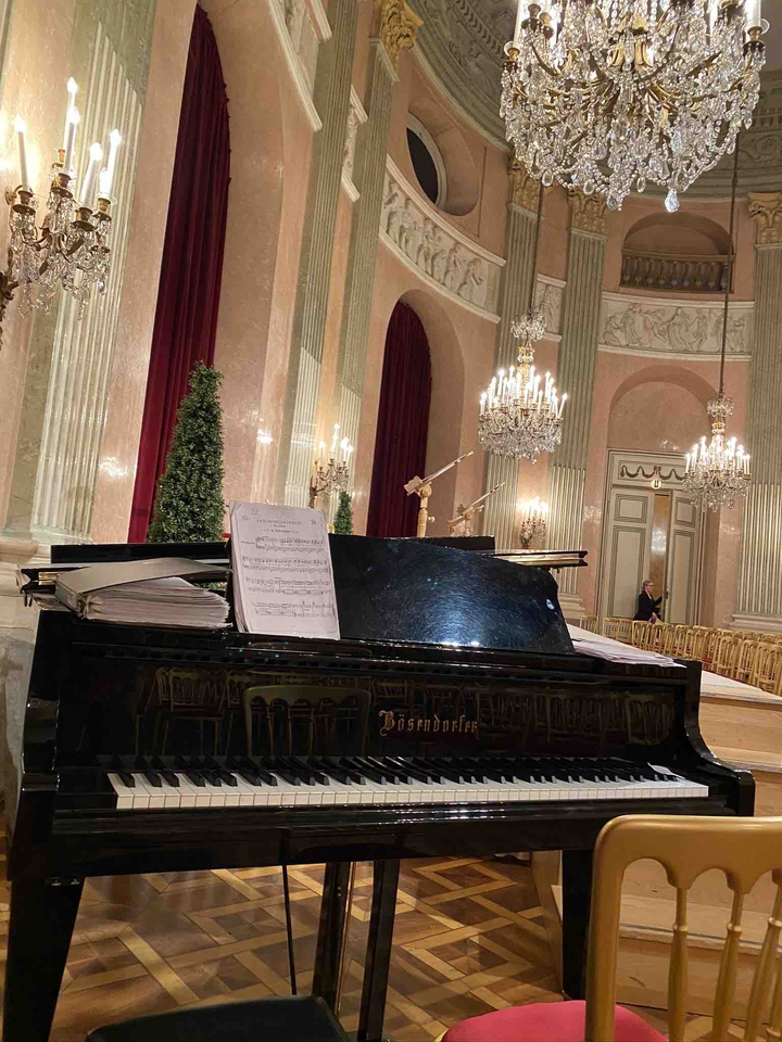 Piano in Vienna