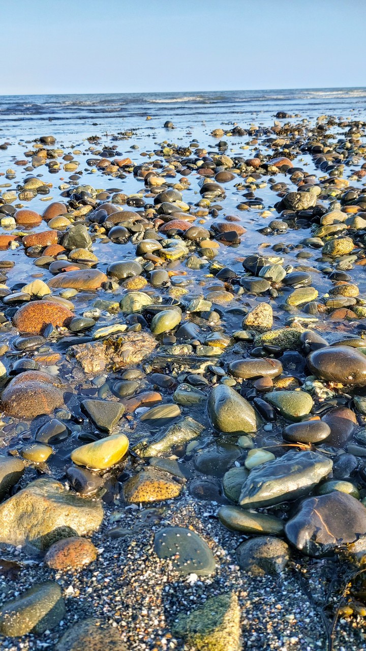 Sea