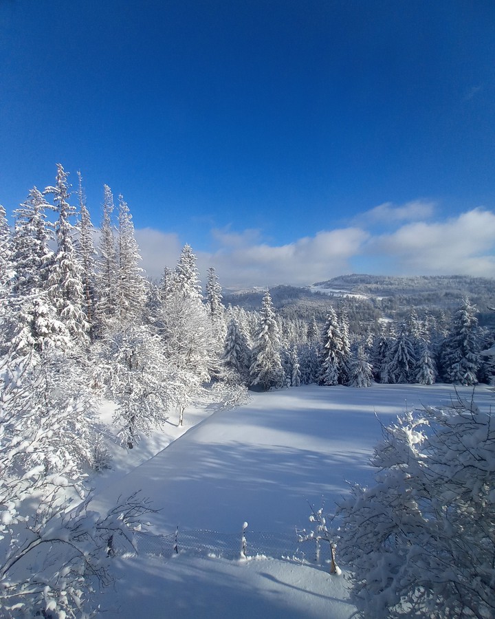 Wisła, Beskidy. Widok z okna