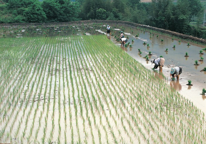 산업