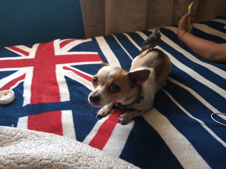 Kitty y su amigo, saludos desde México ❤️❤️❤️