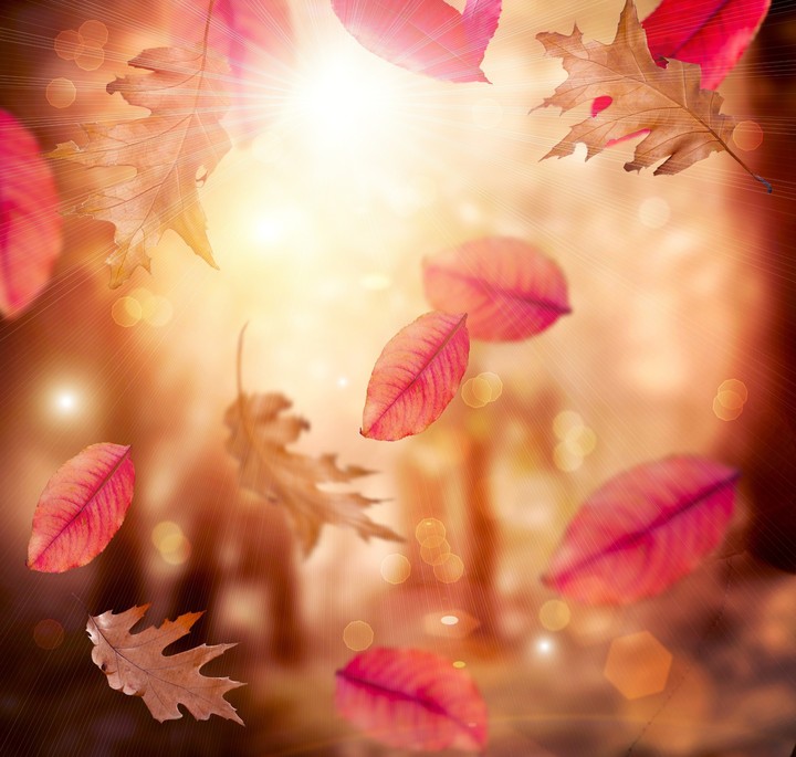 Autumn
