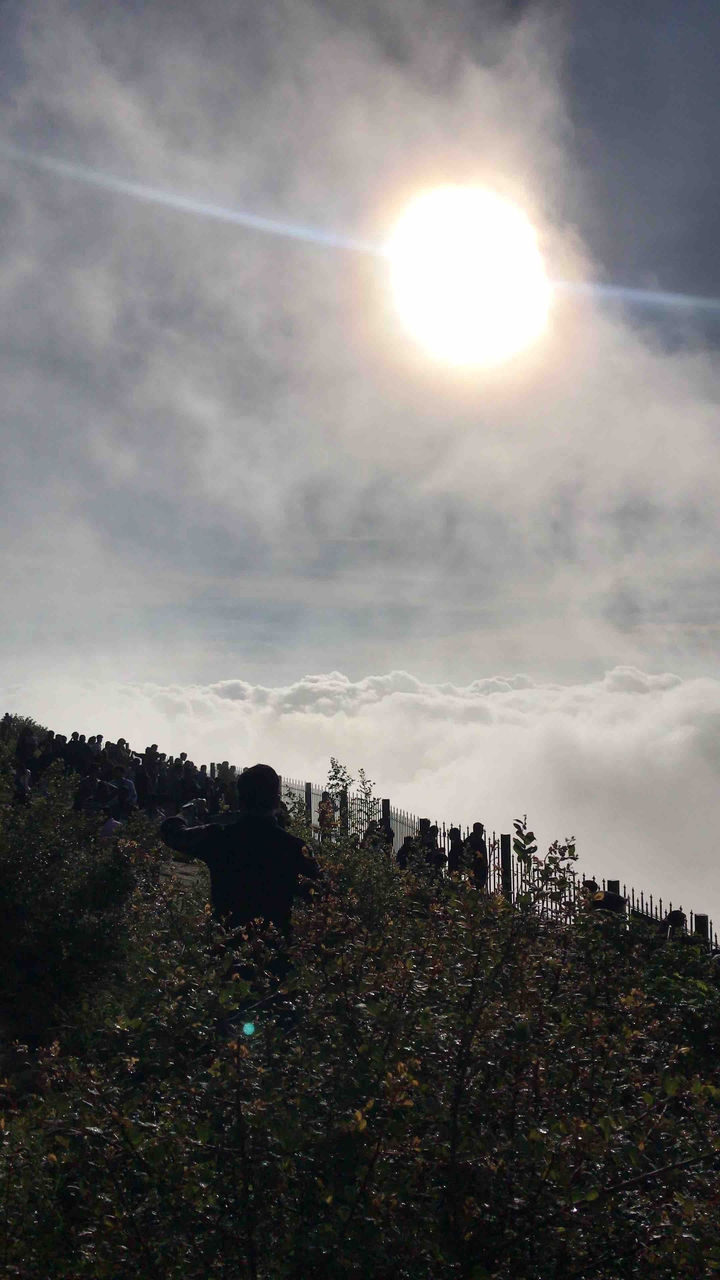 FOG