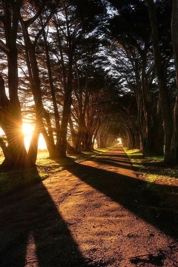 nature
