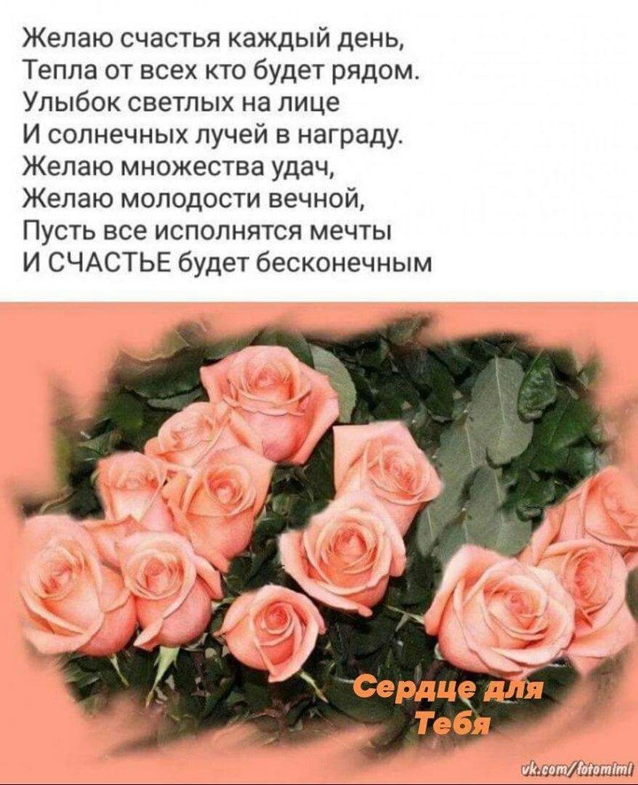 жизнь