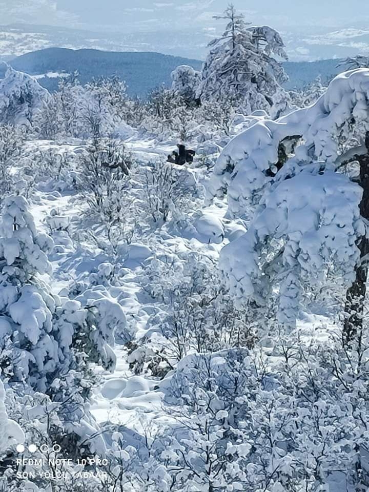 kış