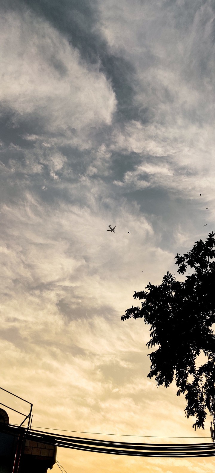 Sky