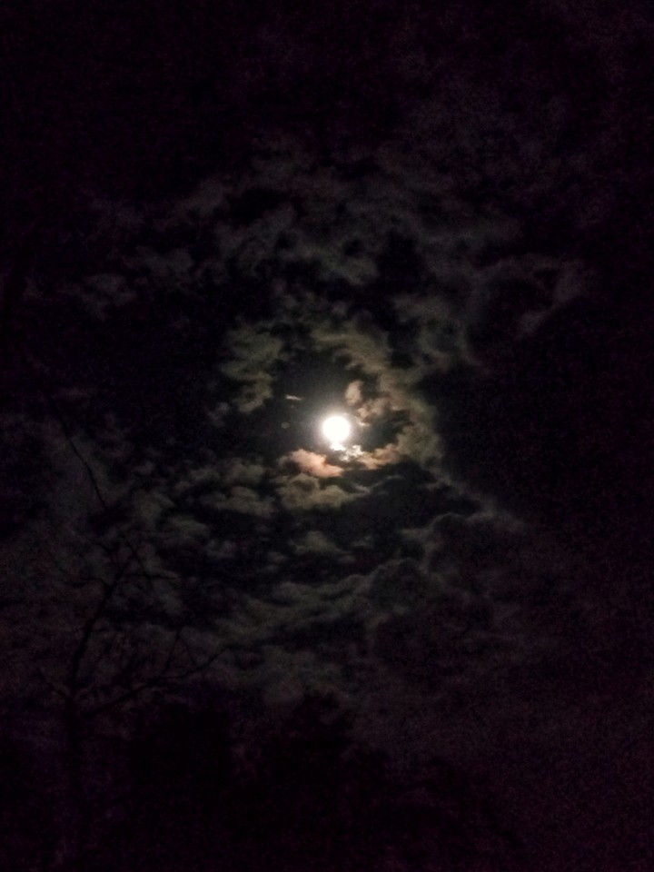 moon