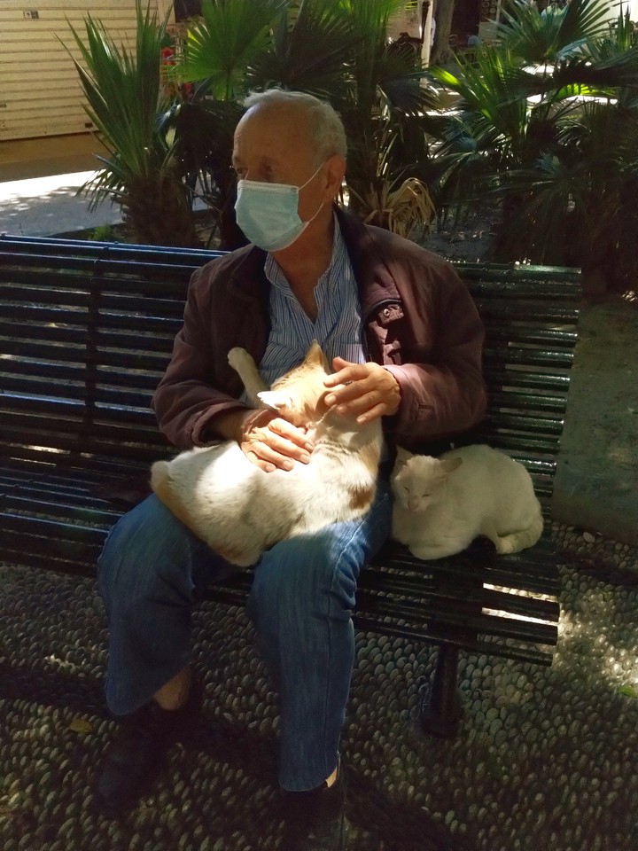 Cat man