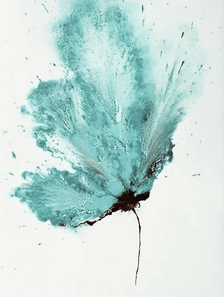 drawn butterfly