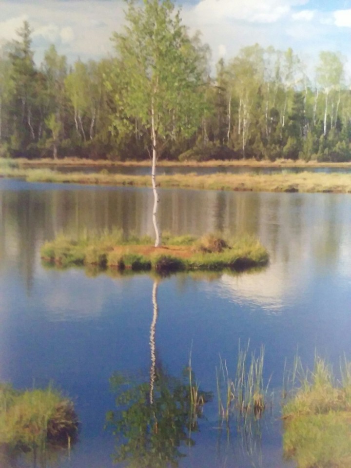 water