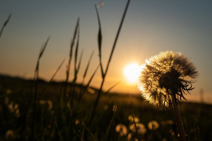 Dream sunset