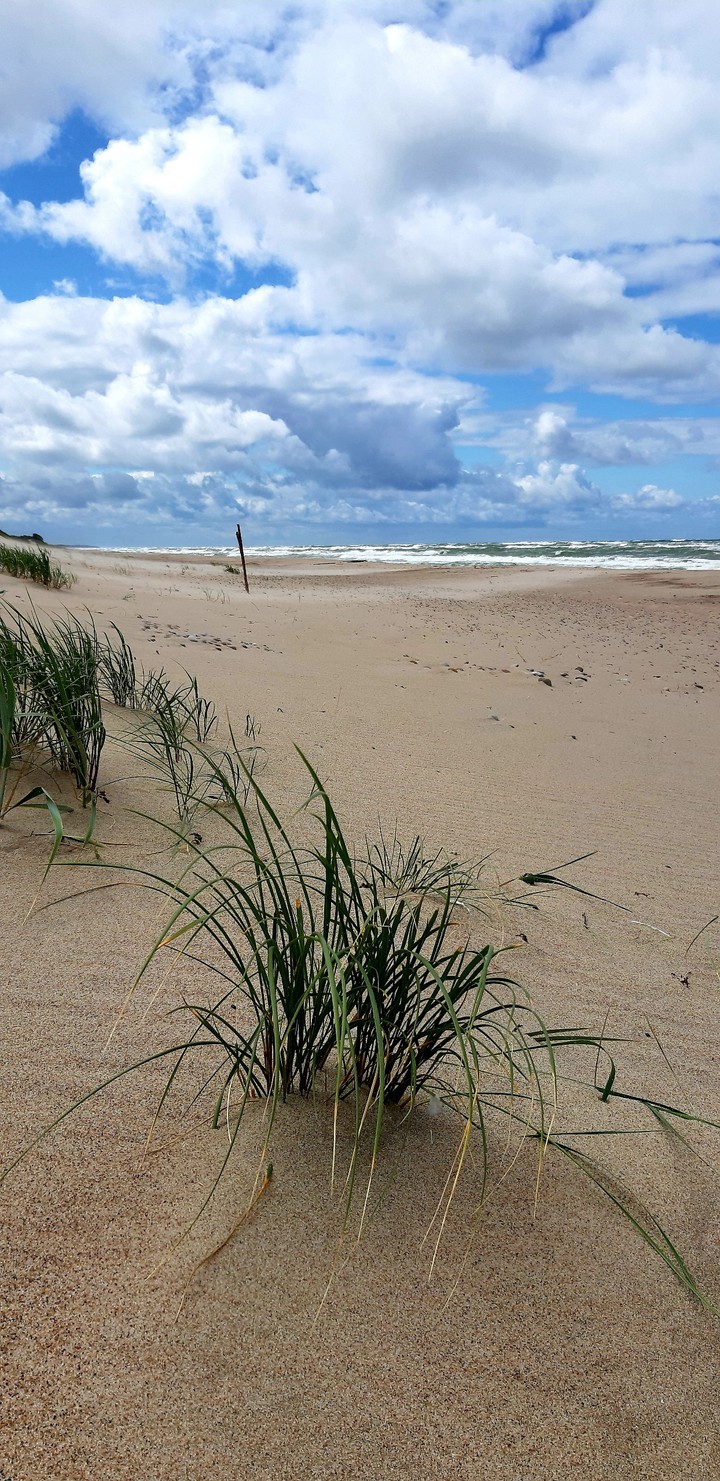 Baltic sea