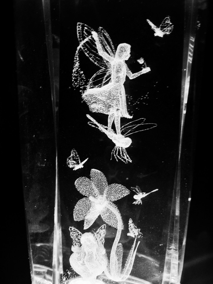 fairies