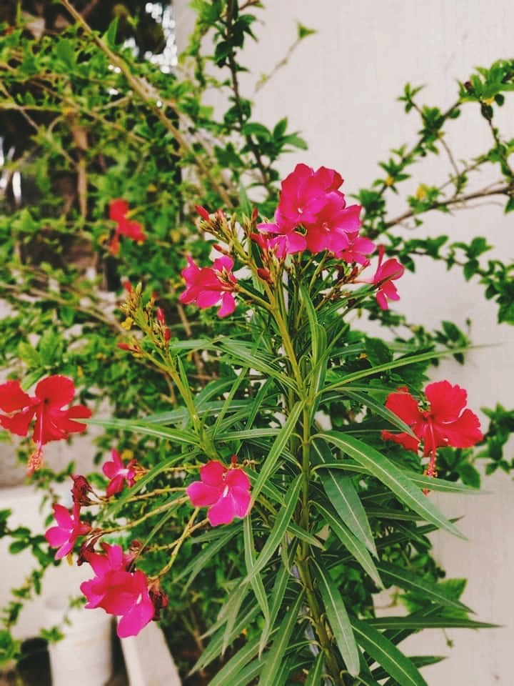 beautiful colours