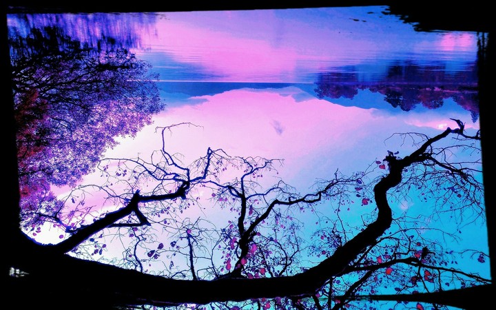reflection