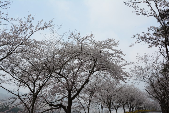풍경이미지
