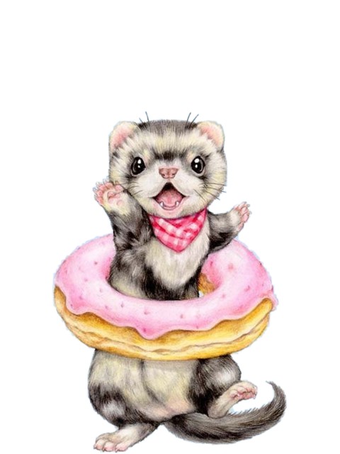 ferret