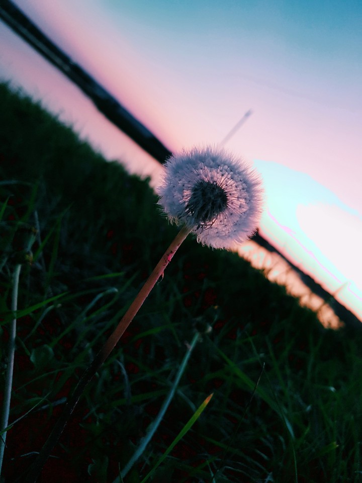 ◇◇◇