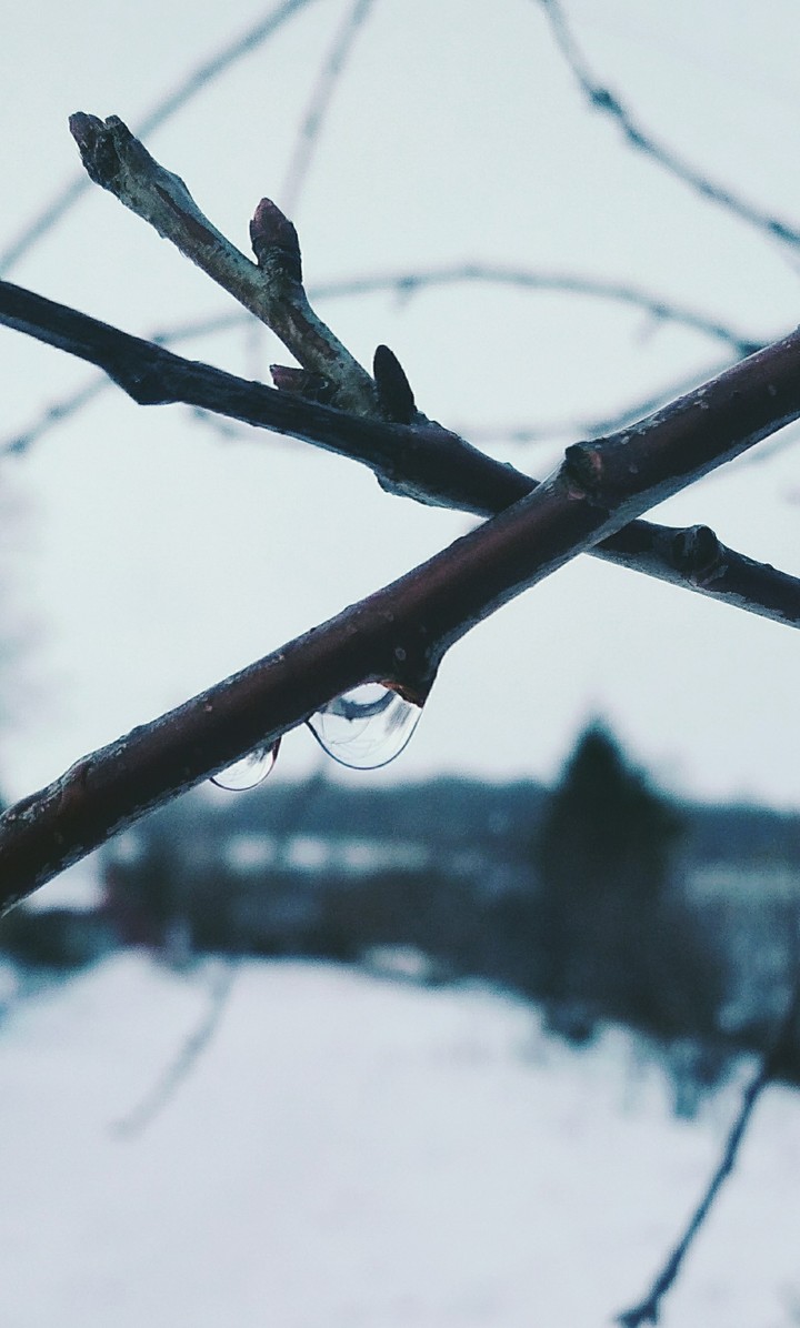 nature