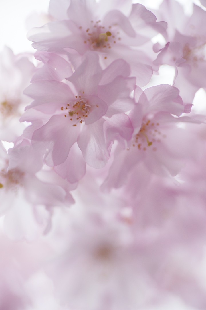 ♡~♧~♡