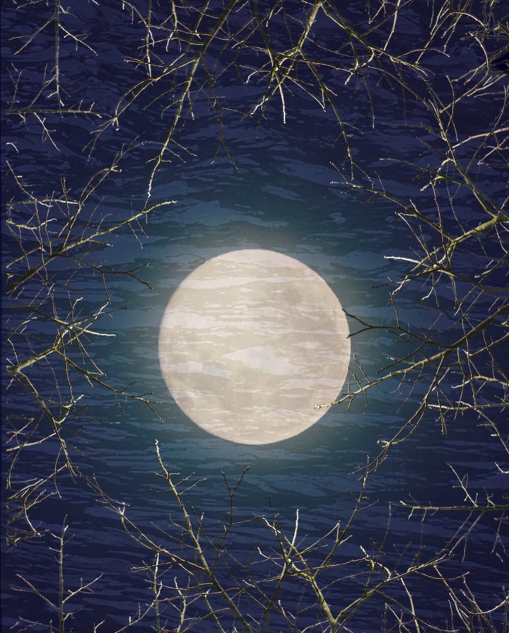 moon in water