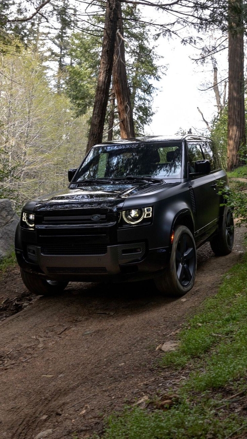 тапети bumper, fender