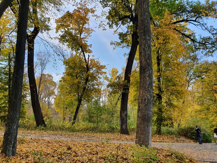 #autumn #trees #park #colors
