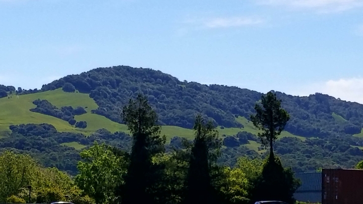 beautiful view