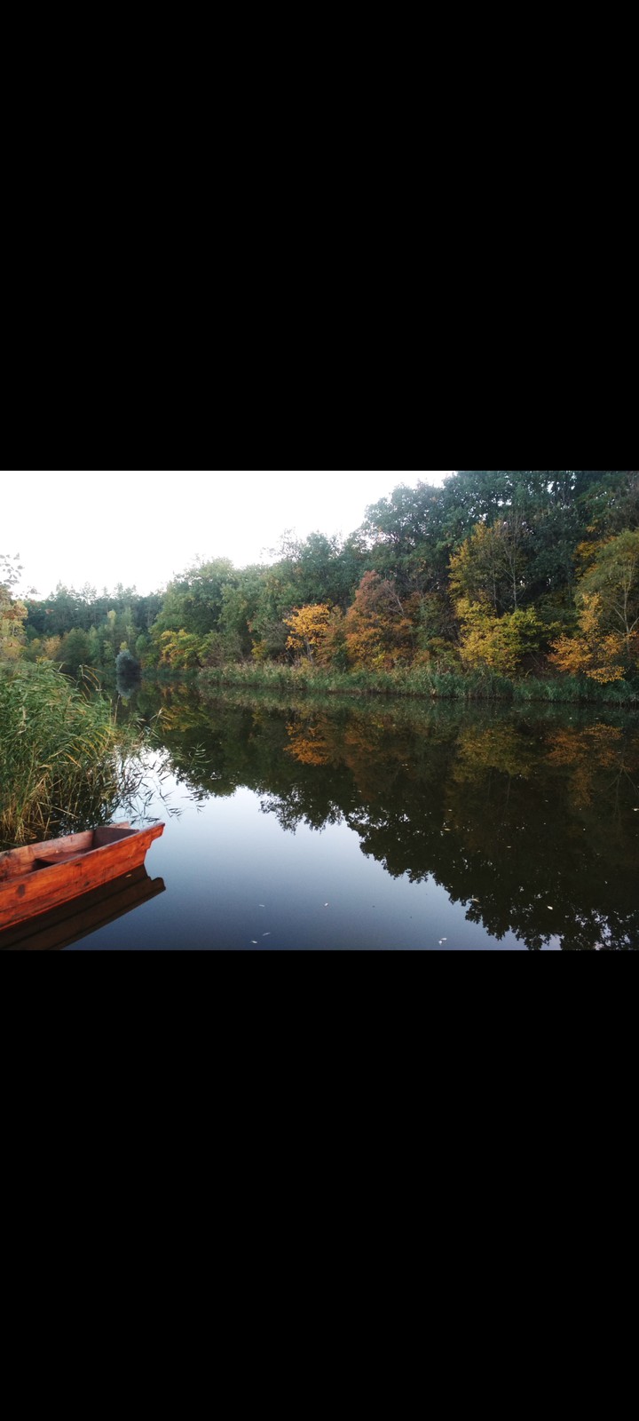 forest river