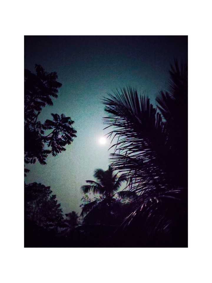 Night Sky