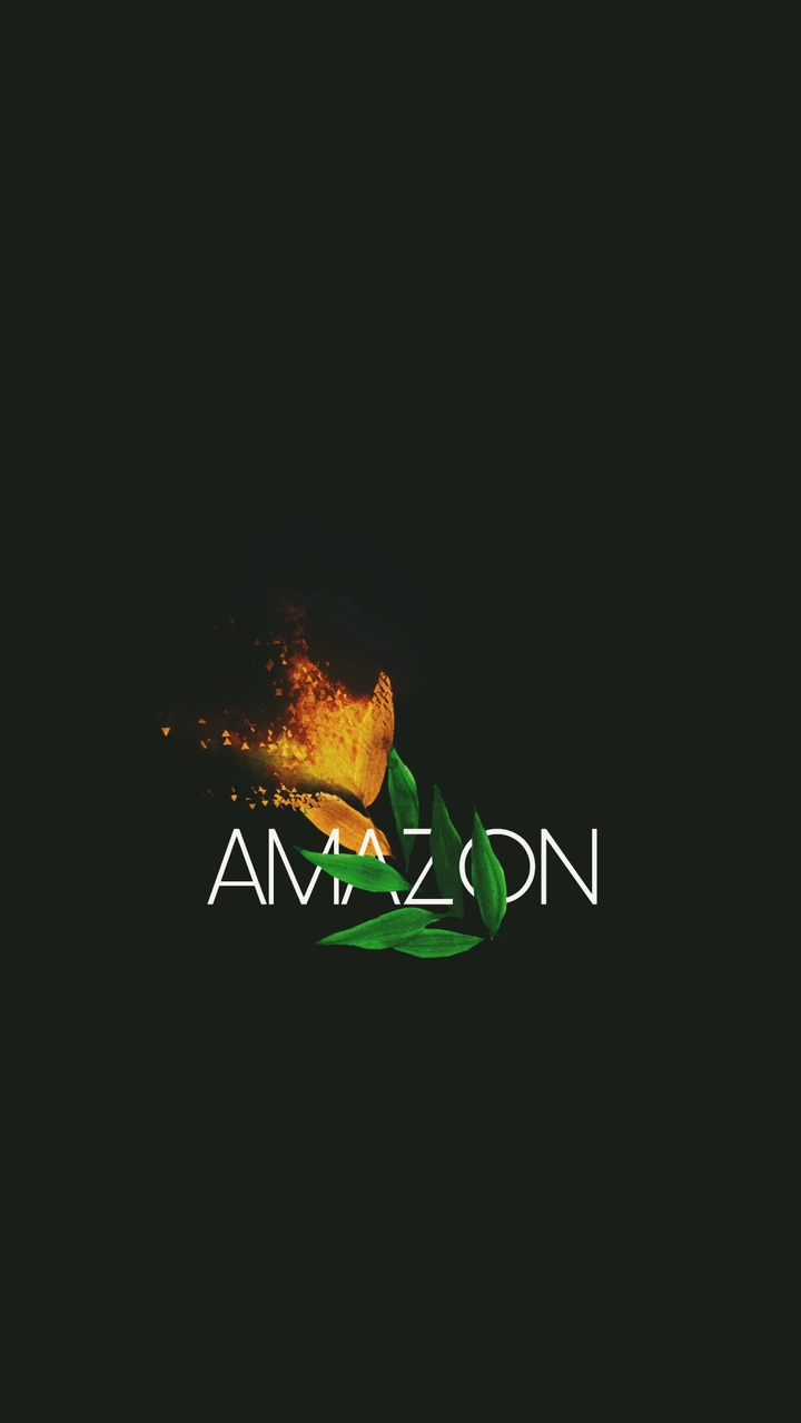 AMAZON