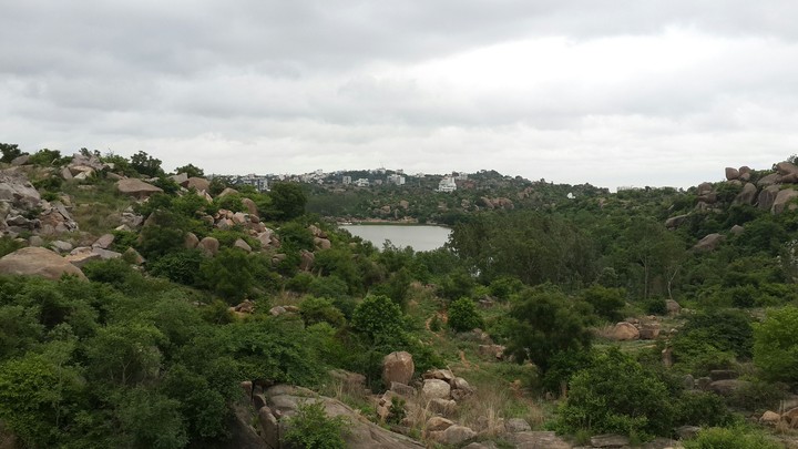 Serene lake