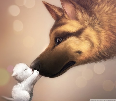 Animals