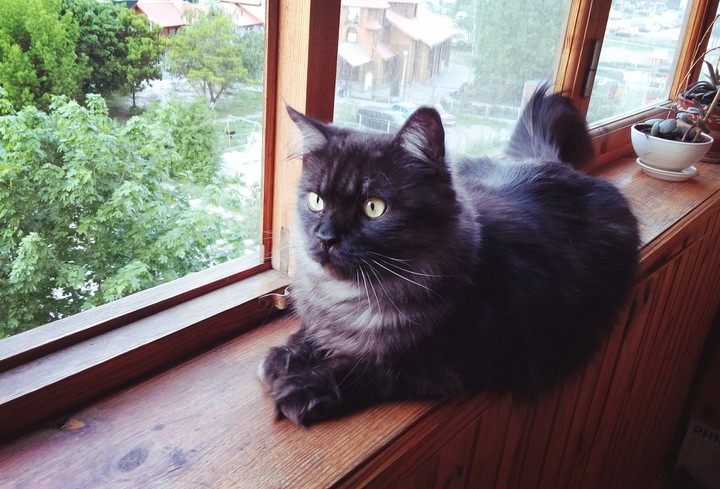 having some rest)
