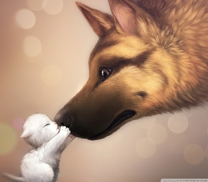Animals