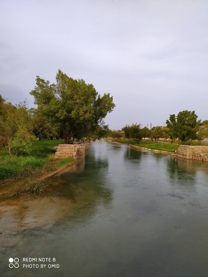 nature in my town