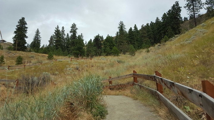 Knox Mountain