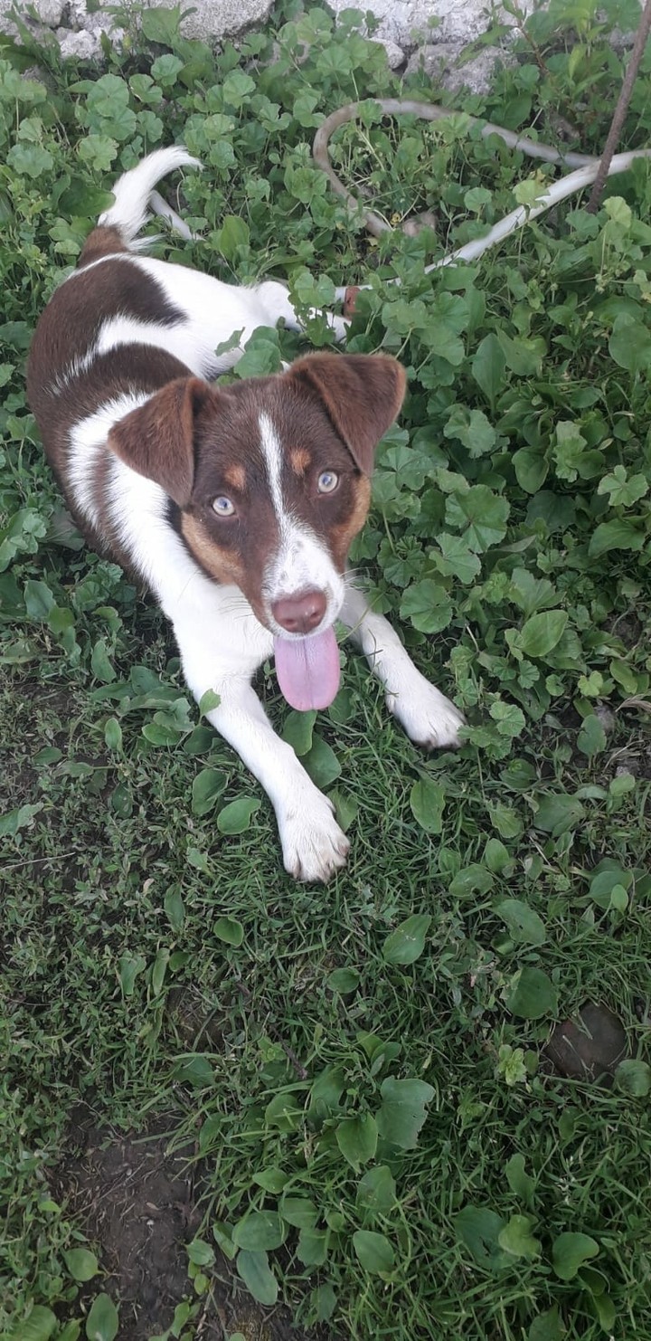 baby