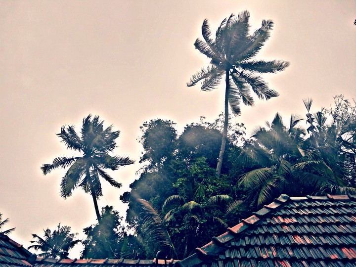 wind...