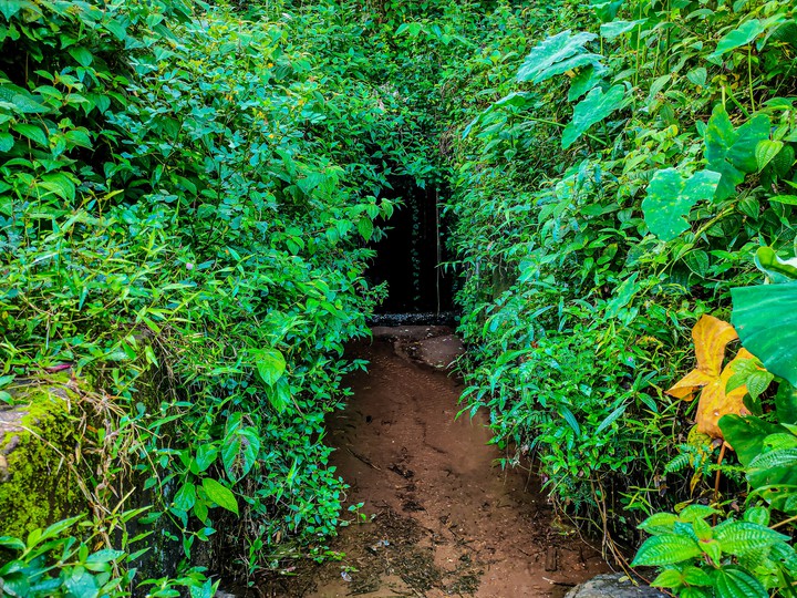 The door leads to knowledge...