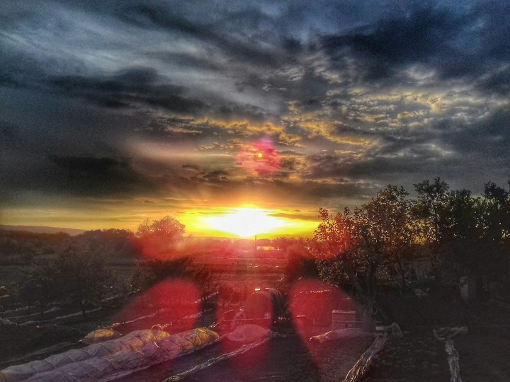 Sunshine