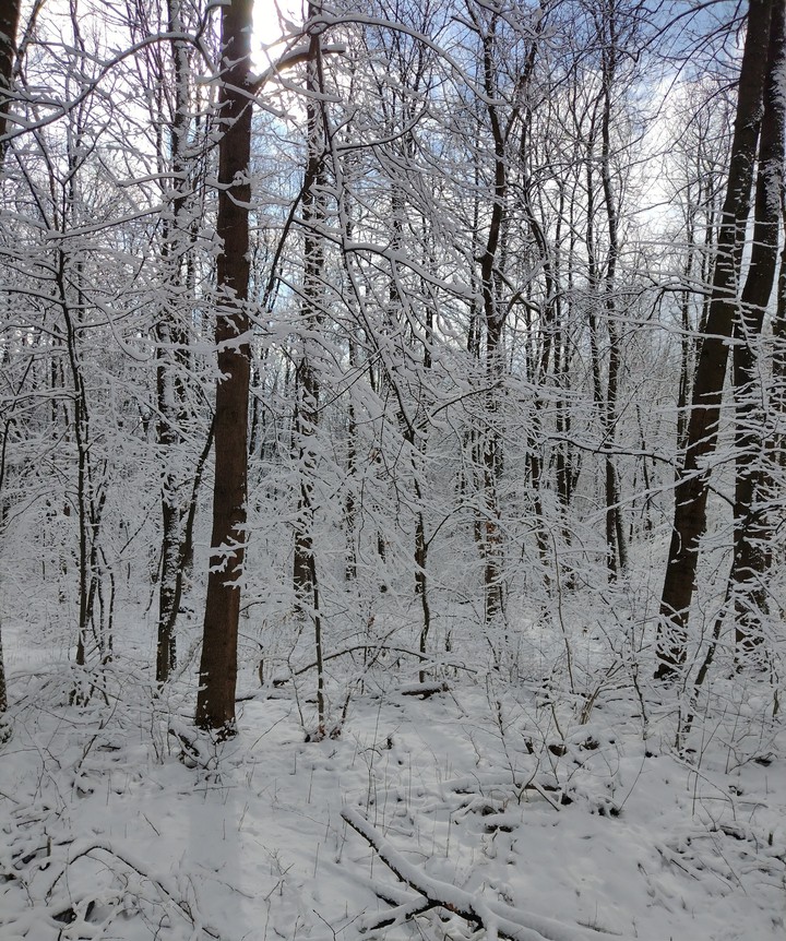 winter