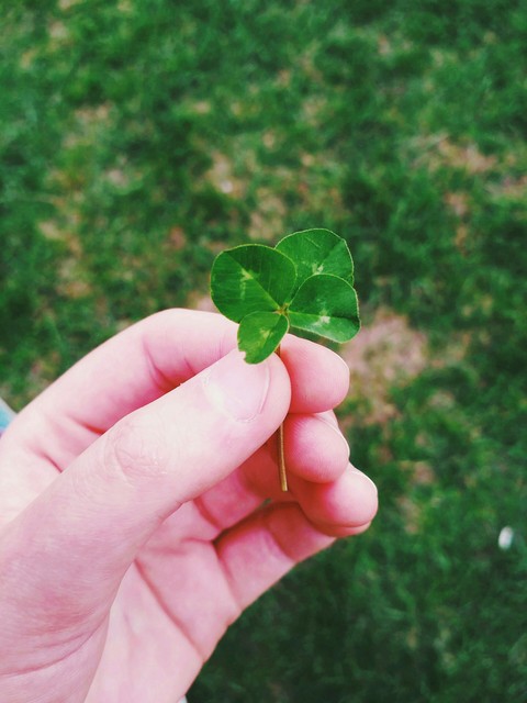 clover, goodluck háttérképek